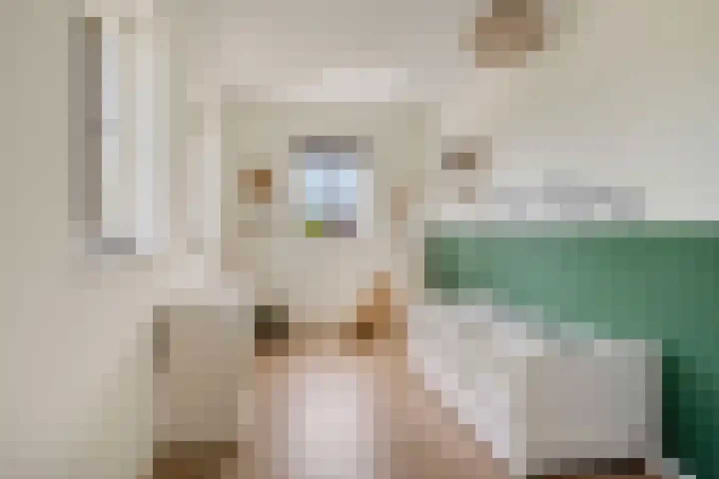 Es 65 Leek thumbnail 55