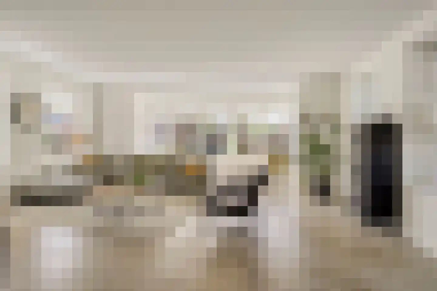 Es 65 Leek thumbnail 6