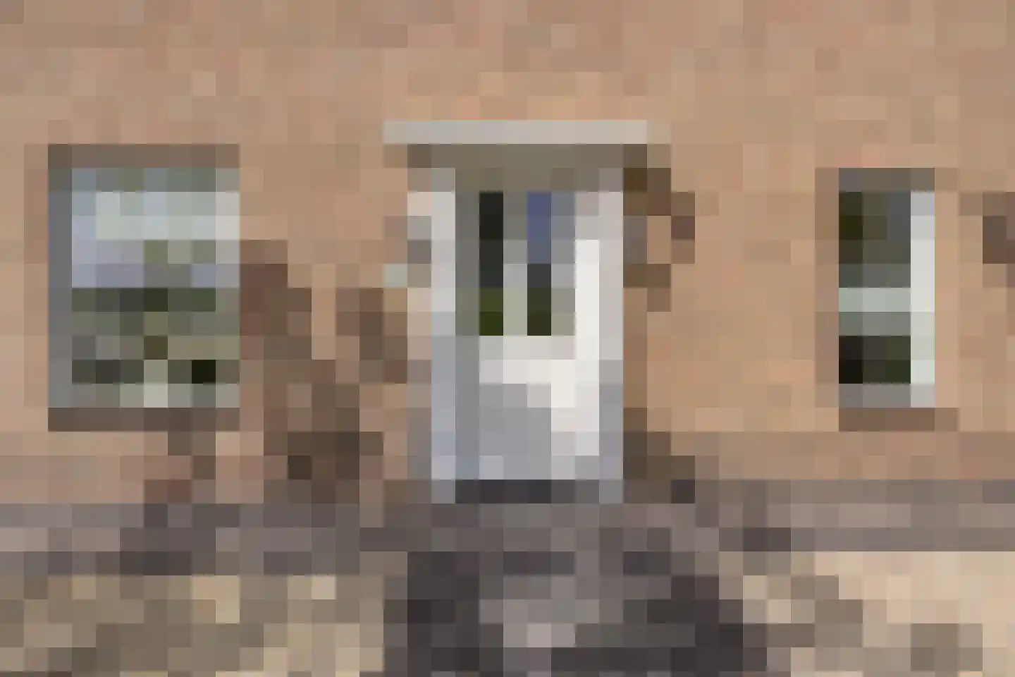 Es 65 Leek thumbnail 62