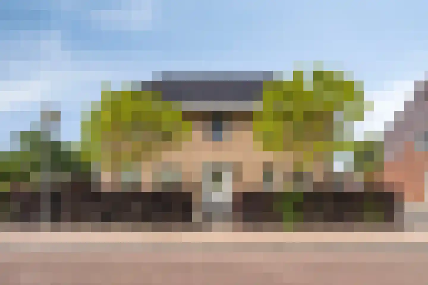 Es 65 Leek thumbnail 63