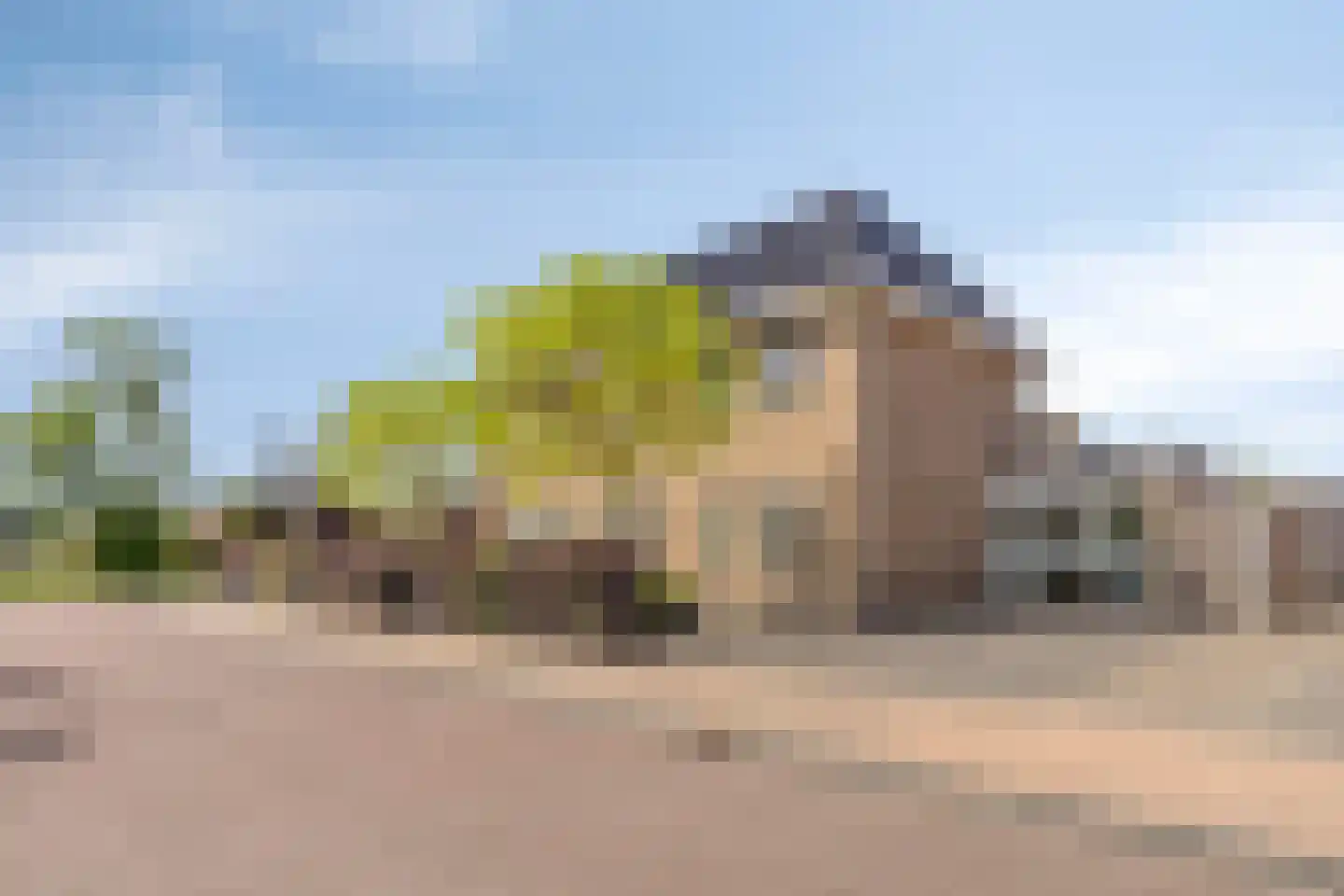 Es 65 Leek thumbnail 65