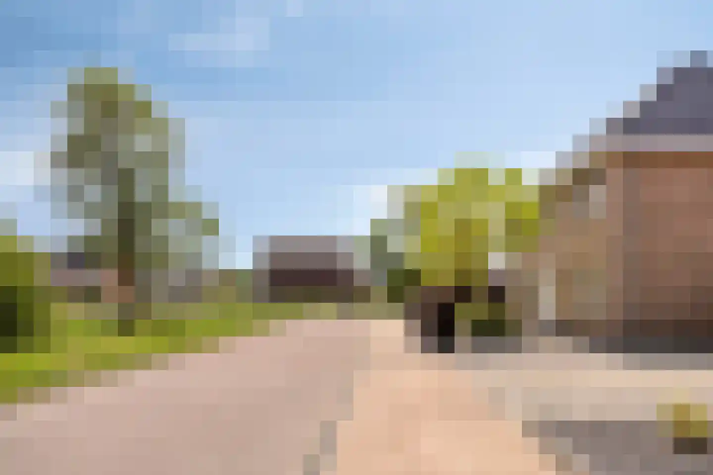 Es 65 Leek thumbnail 66
