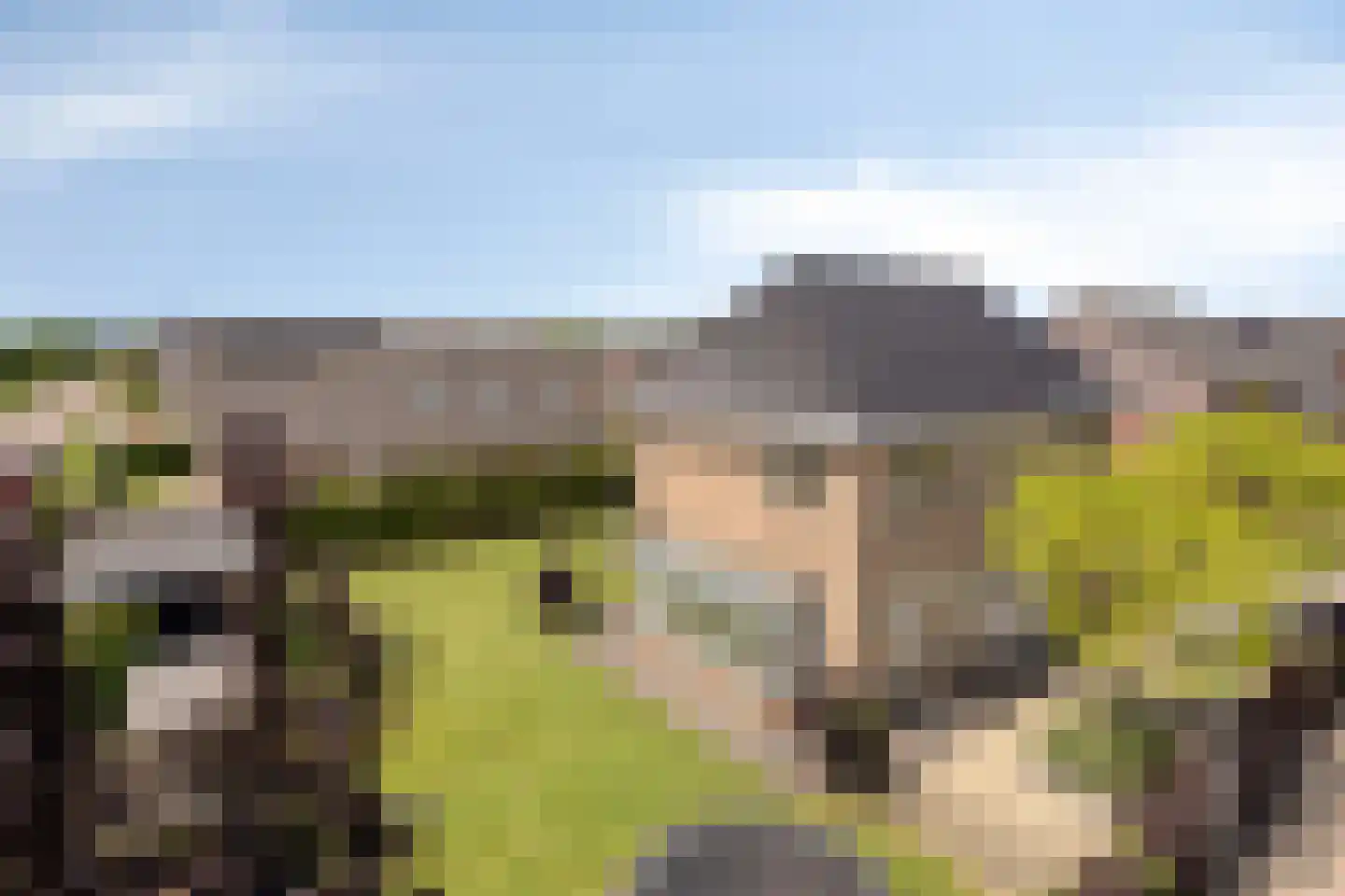 Es 65 Leek thumbnail 67