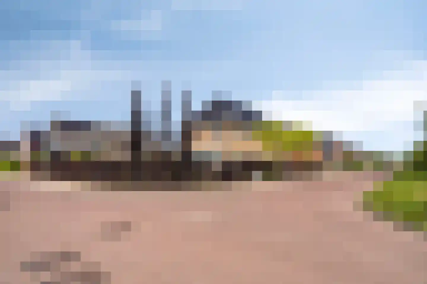 Es 65 Leek thumbnail 68