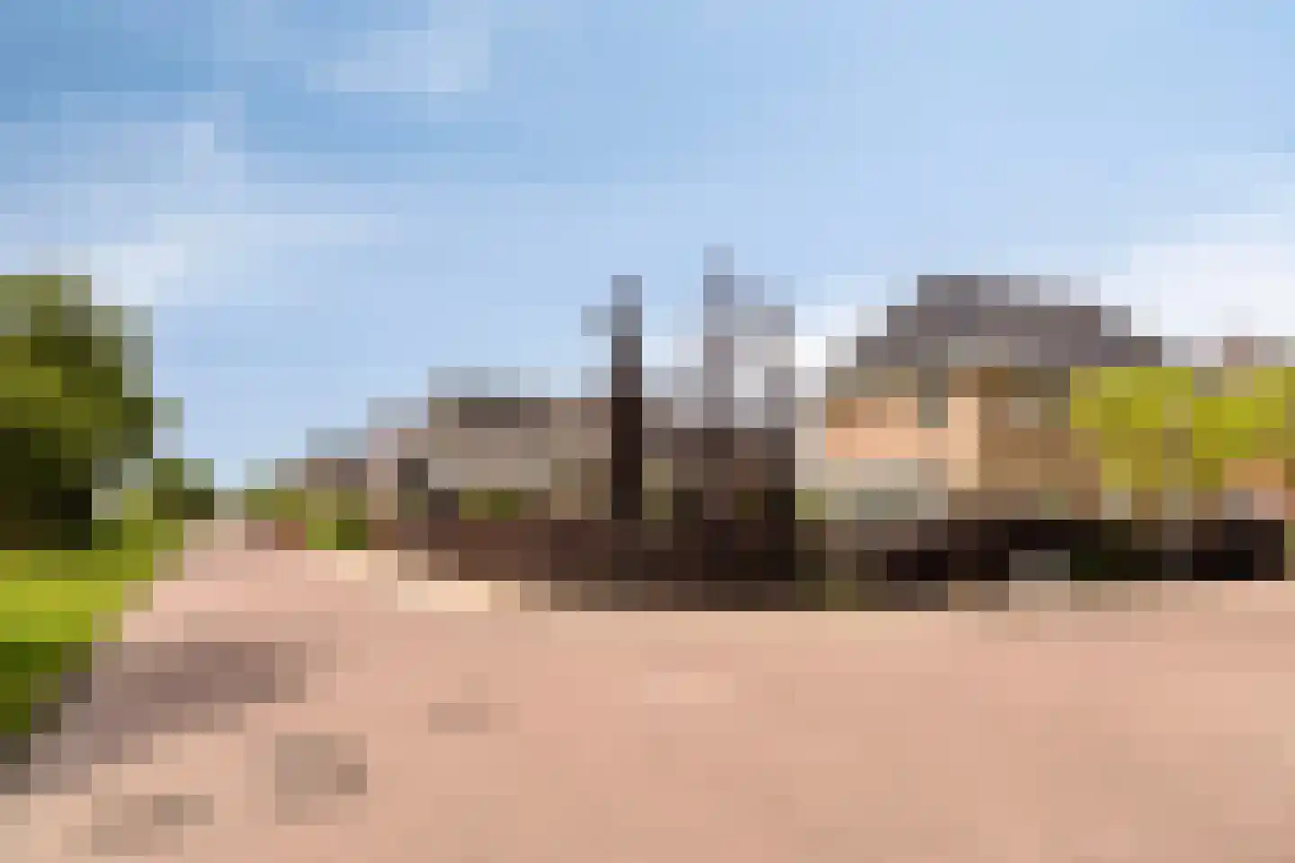 Es 65 Leek thumbnail 69