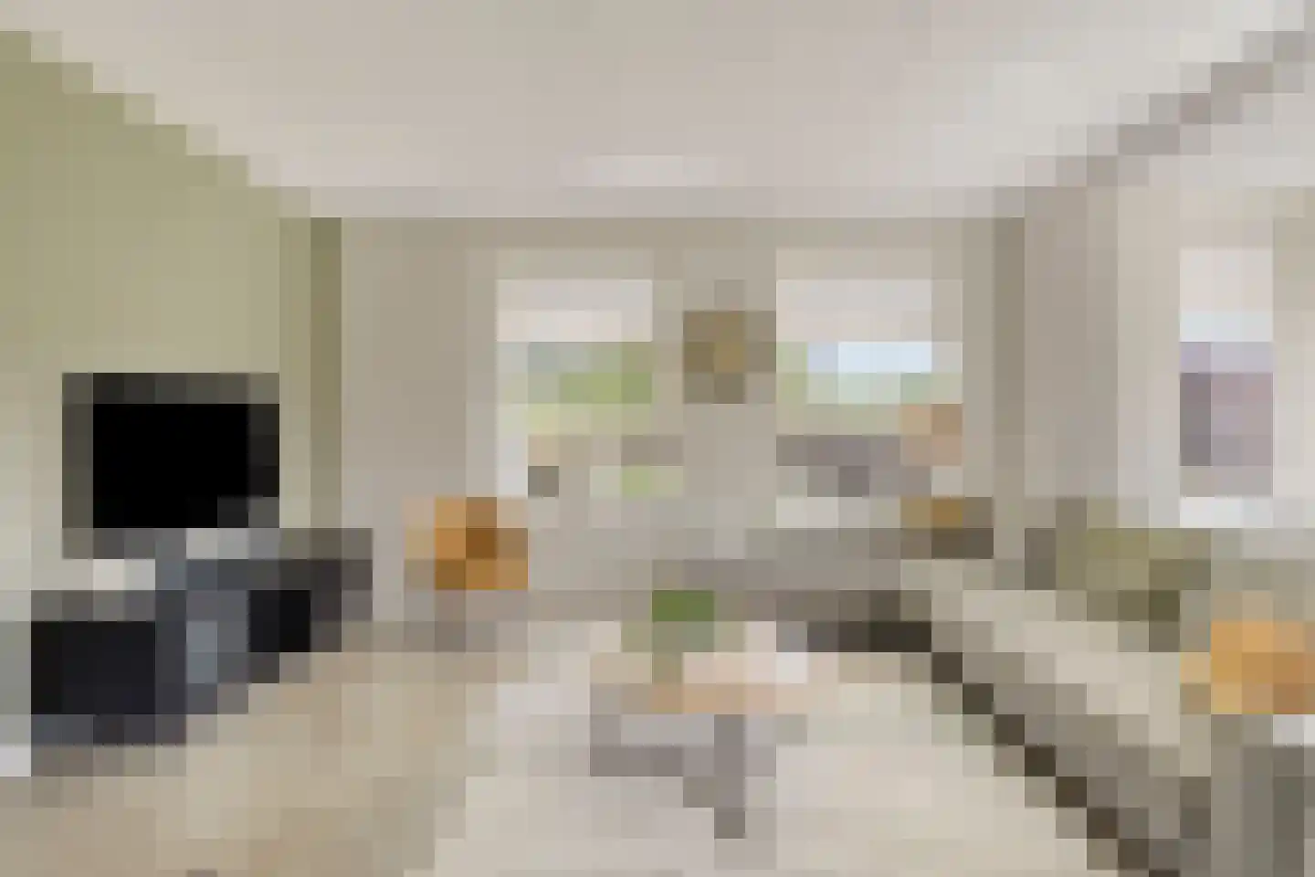 Es 65 Leek thumbnail 7