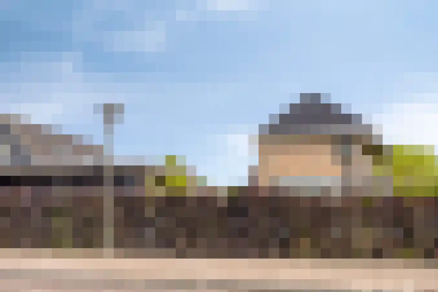 Es 65 Leek thumbnail 70