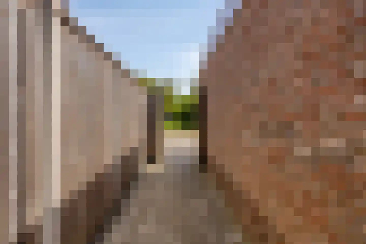 Es 65 Leek thumbnail 71