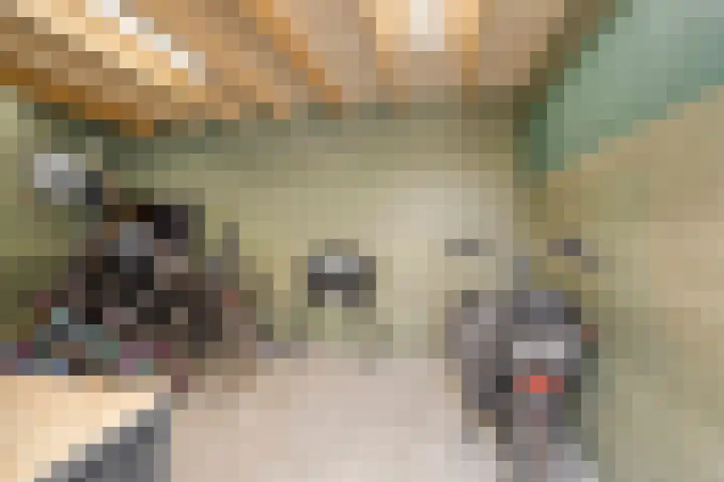 Es 65 Leek thumbnail 72
