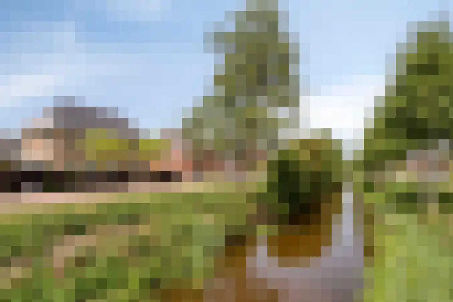 Es 65 Leek thumbnail 73
