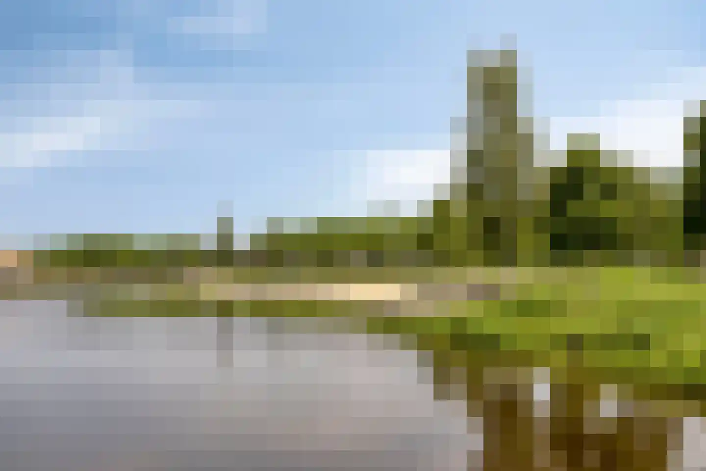 Es 65 Leek thumbnail 74