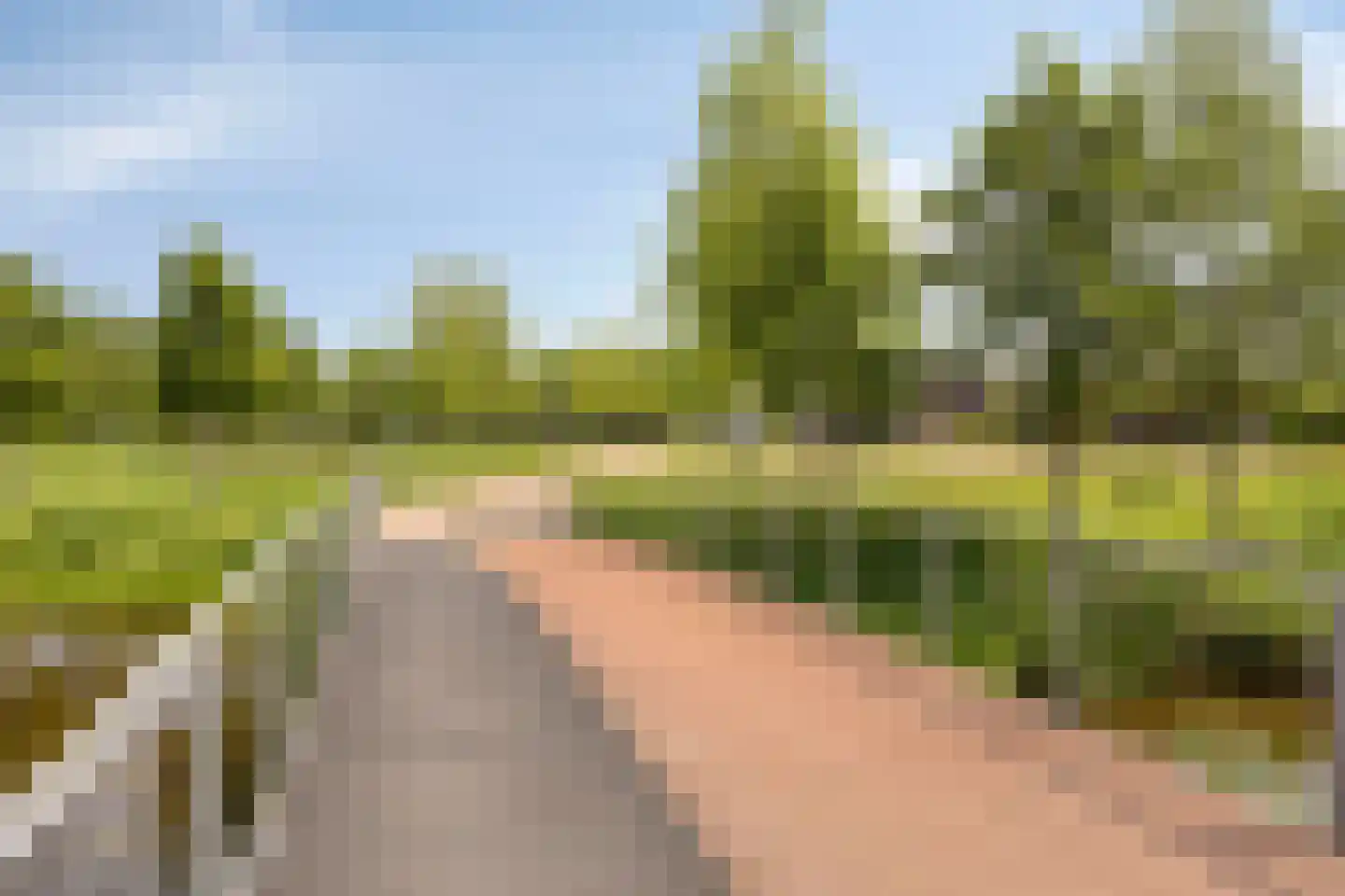 Es 65 Leek thumbnail 75