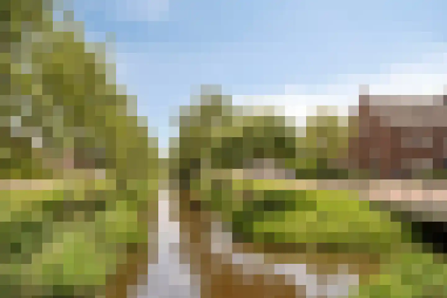 Es 65 Leek thumbnail 76
