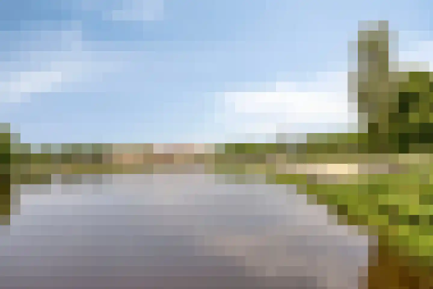 Es 65 Leek thumbnail 77