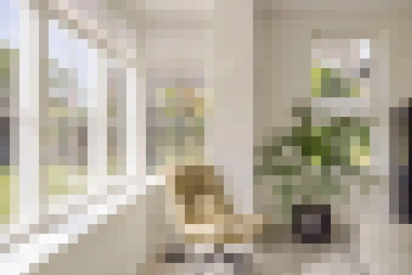 Es 65 Leek thumbnail 8