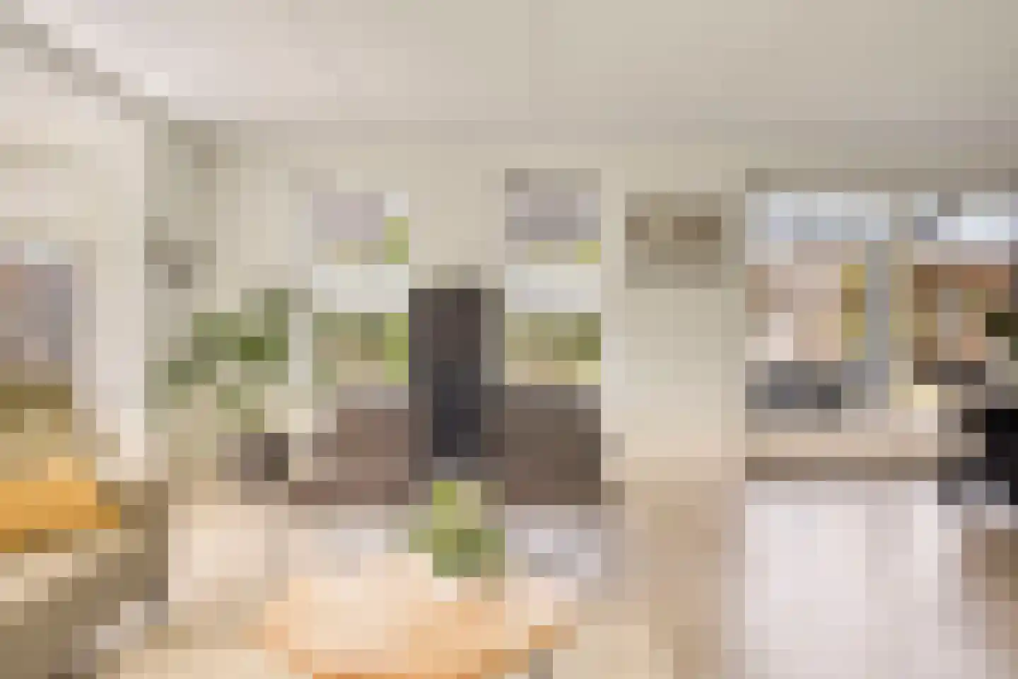 Es 65 Leek thumbnail 9