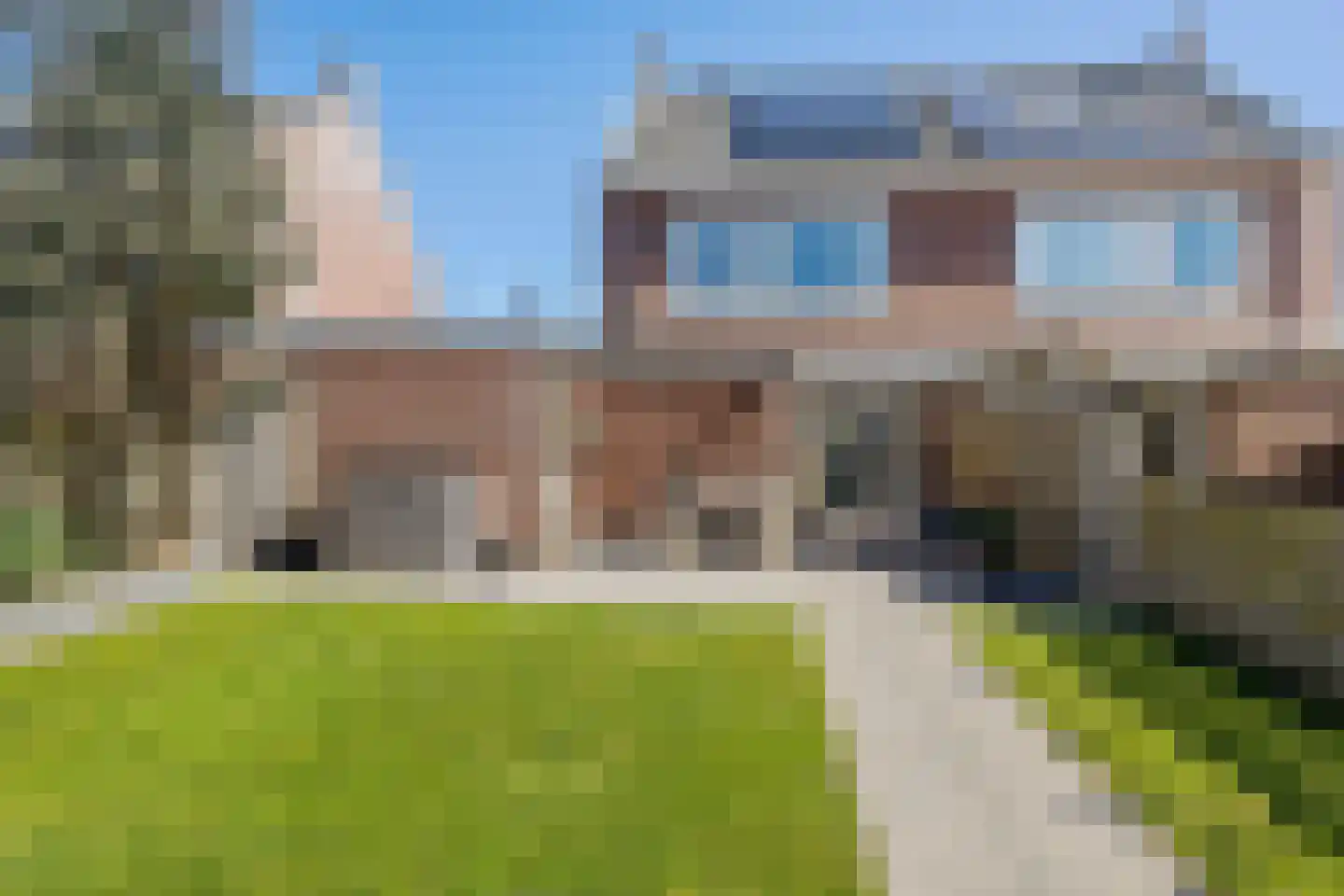 Es 7 Leek foto 2