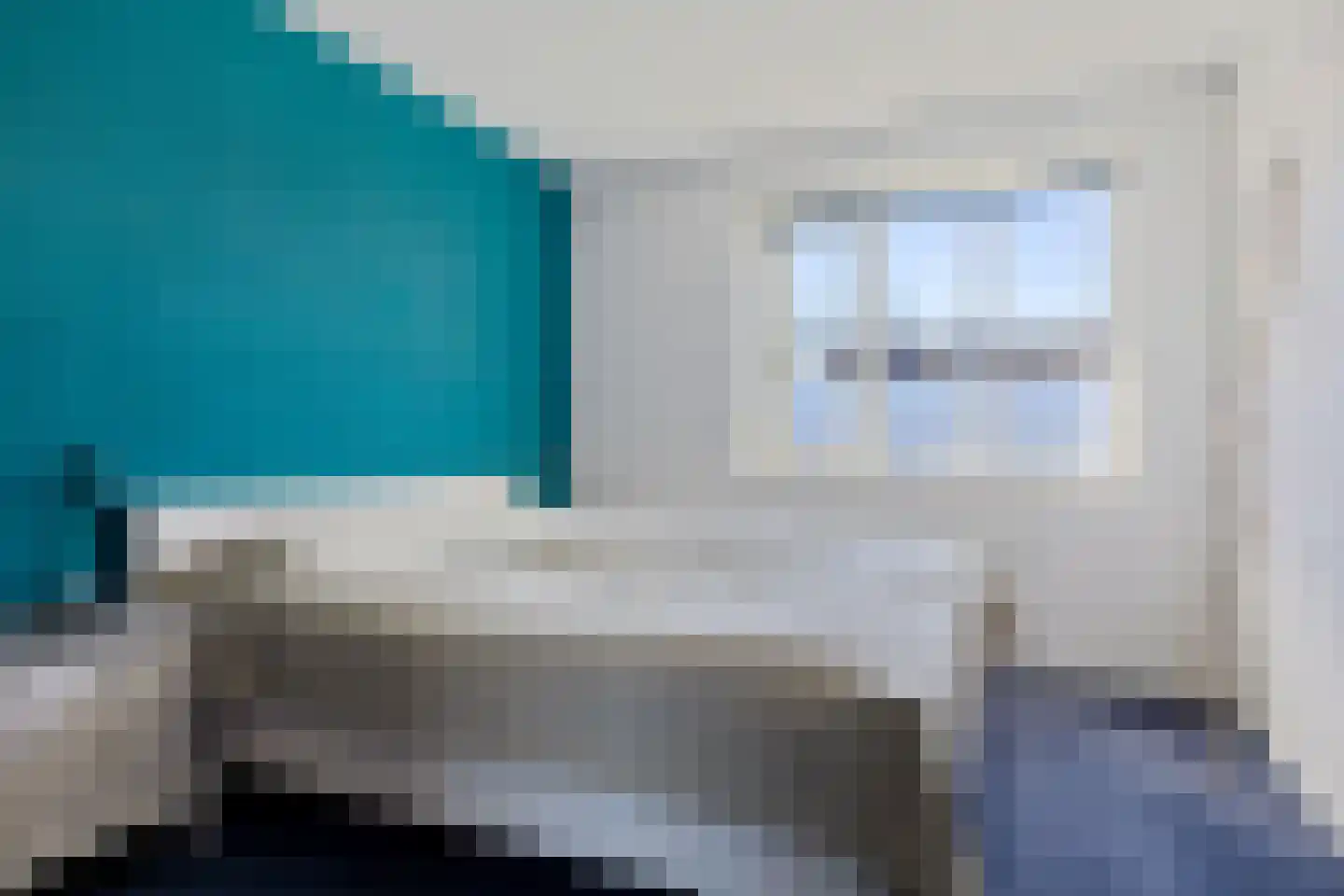 Es 7 Leek thumbnail 20