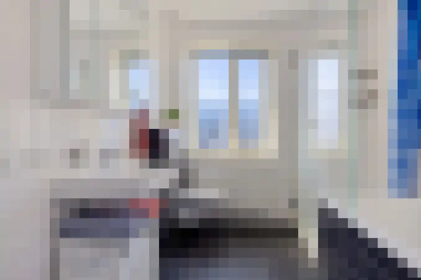 Es 7 Leek thumbnail 25