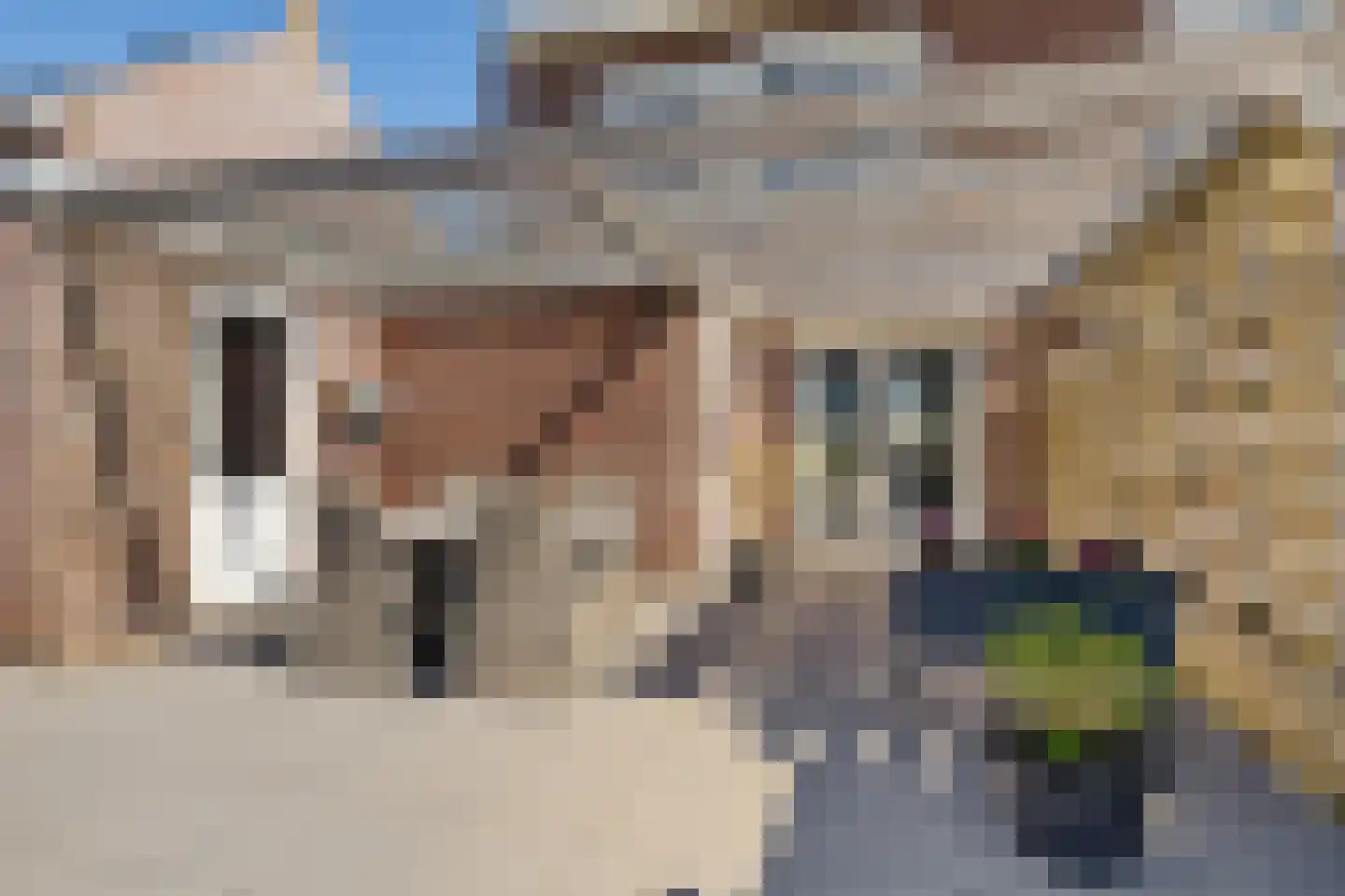 Es 7 Leek thumbnail 30