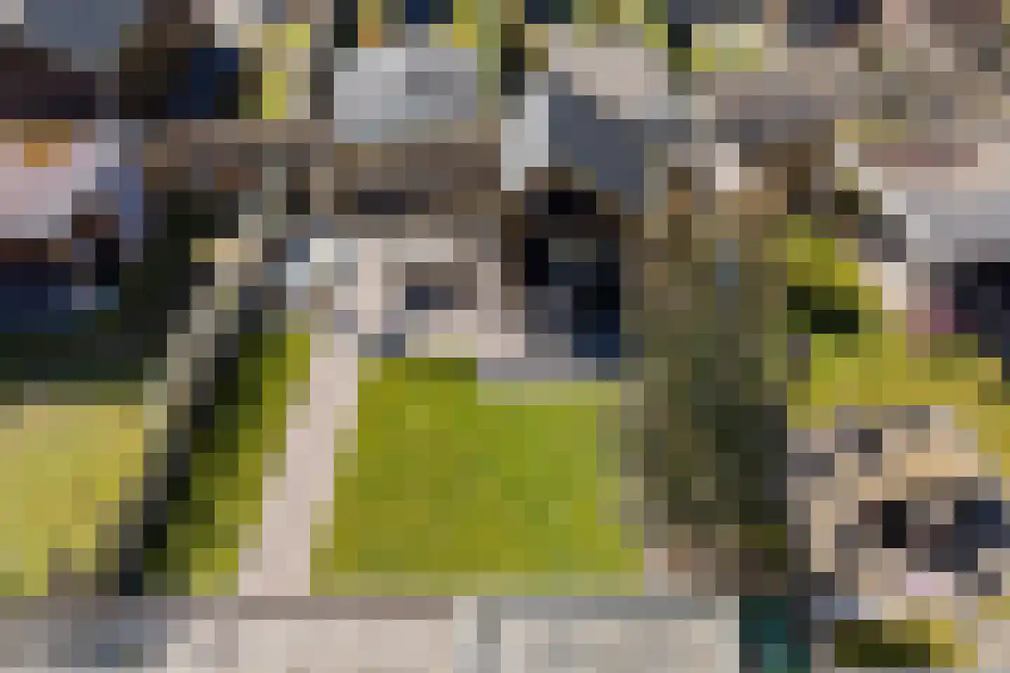 Es 7 Leek thumbnail 31