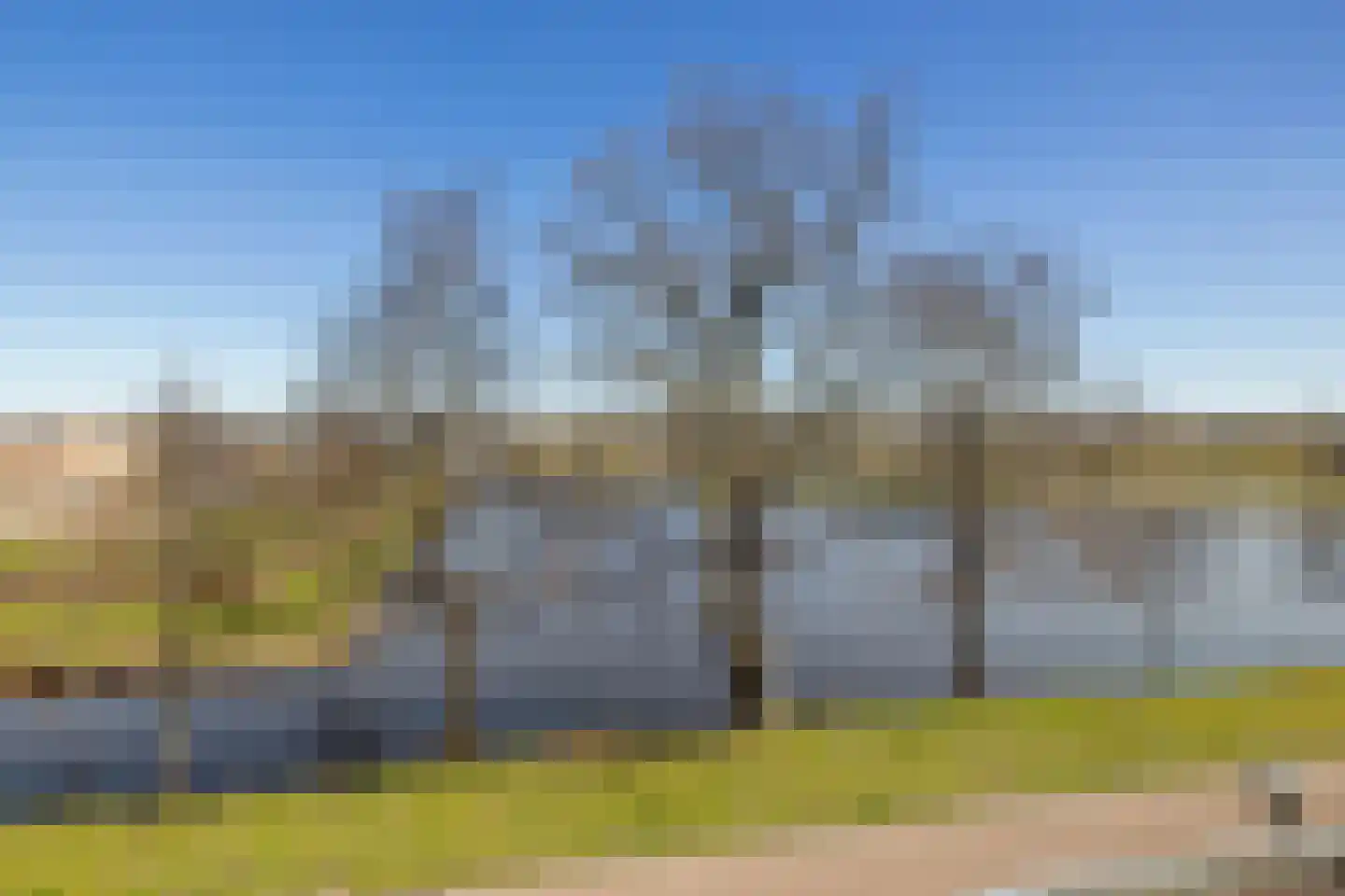 Es 7 Leek thumbnail 39