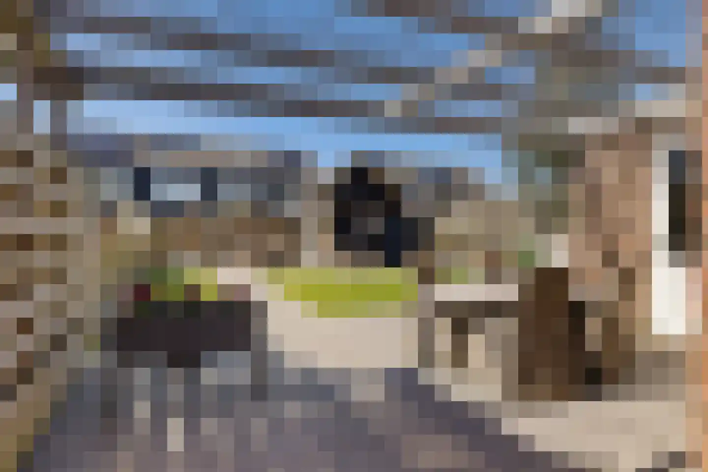 Es 7 Leek thumbnail 4