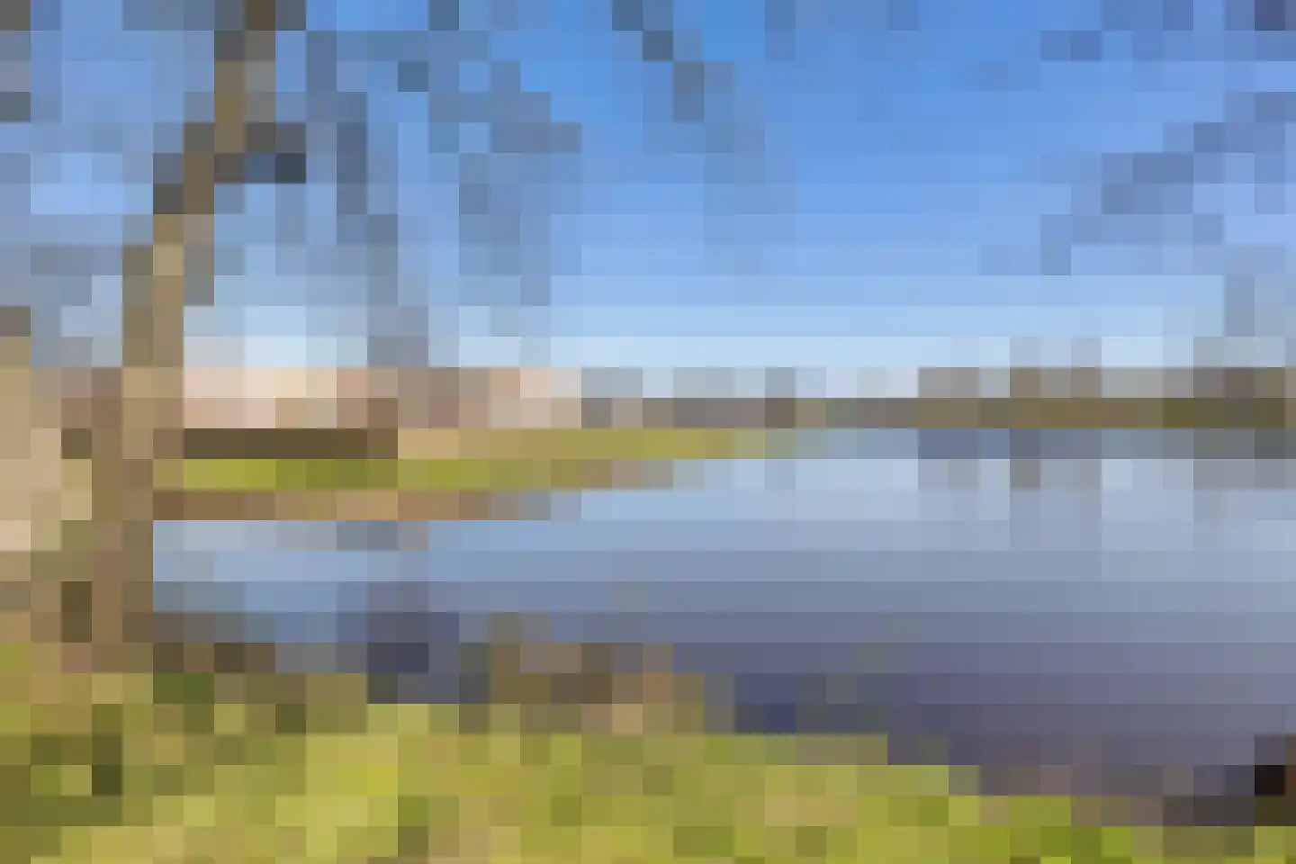 Es 7 Leek thumbnail 40