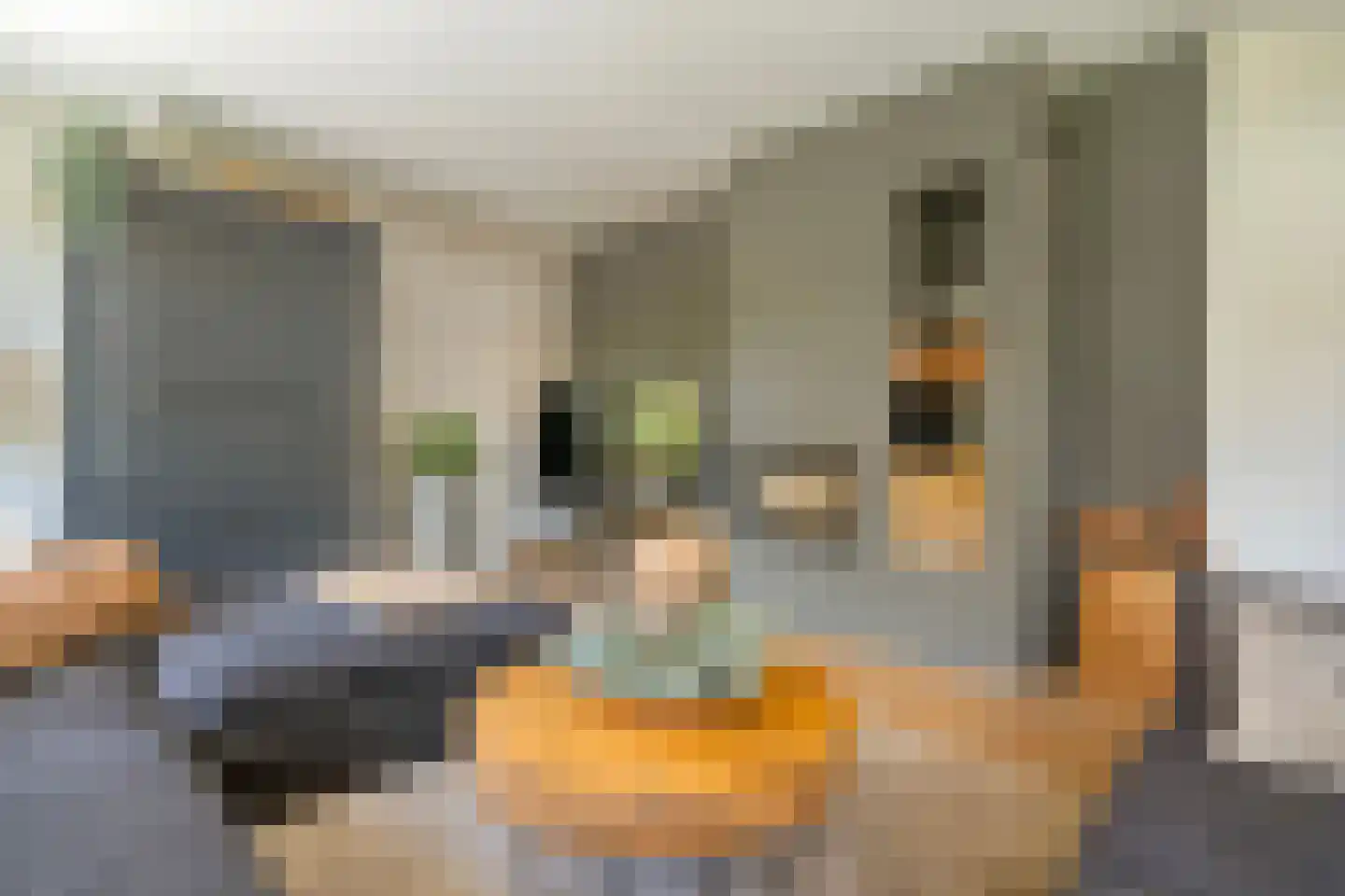 Esakkers 20 Dalfsen thumbnail 13