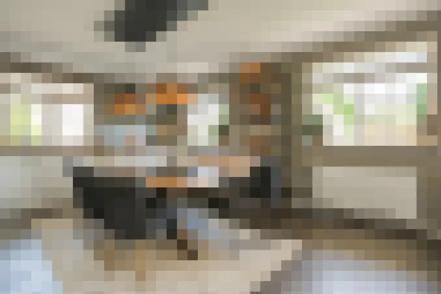Esakkers 20 Dalfsen thumbnail 16