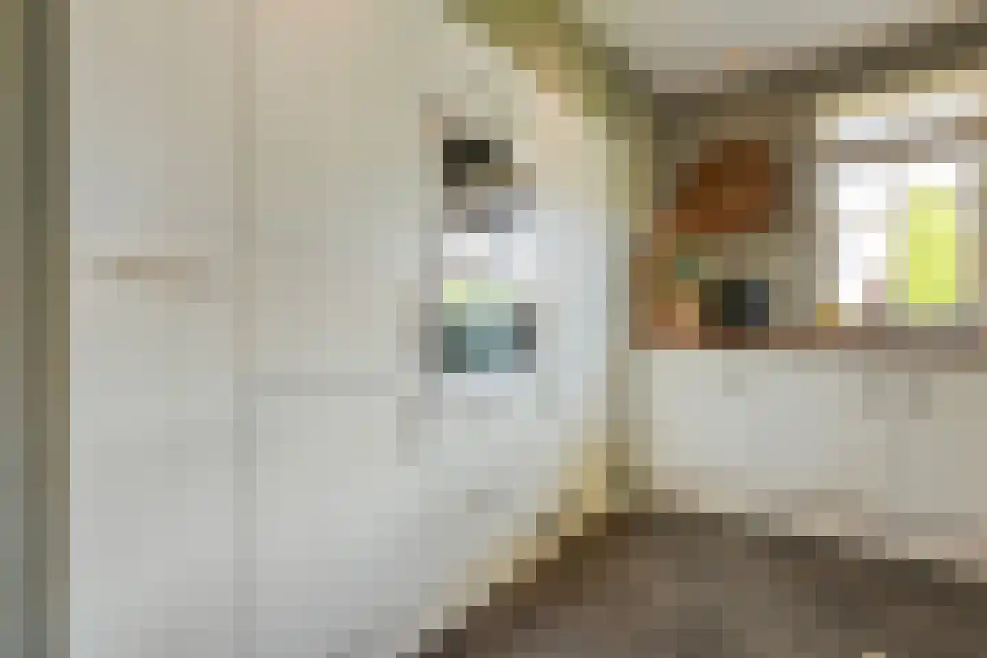 Esakkers 20 Dalfsen thumbnail 17