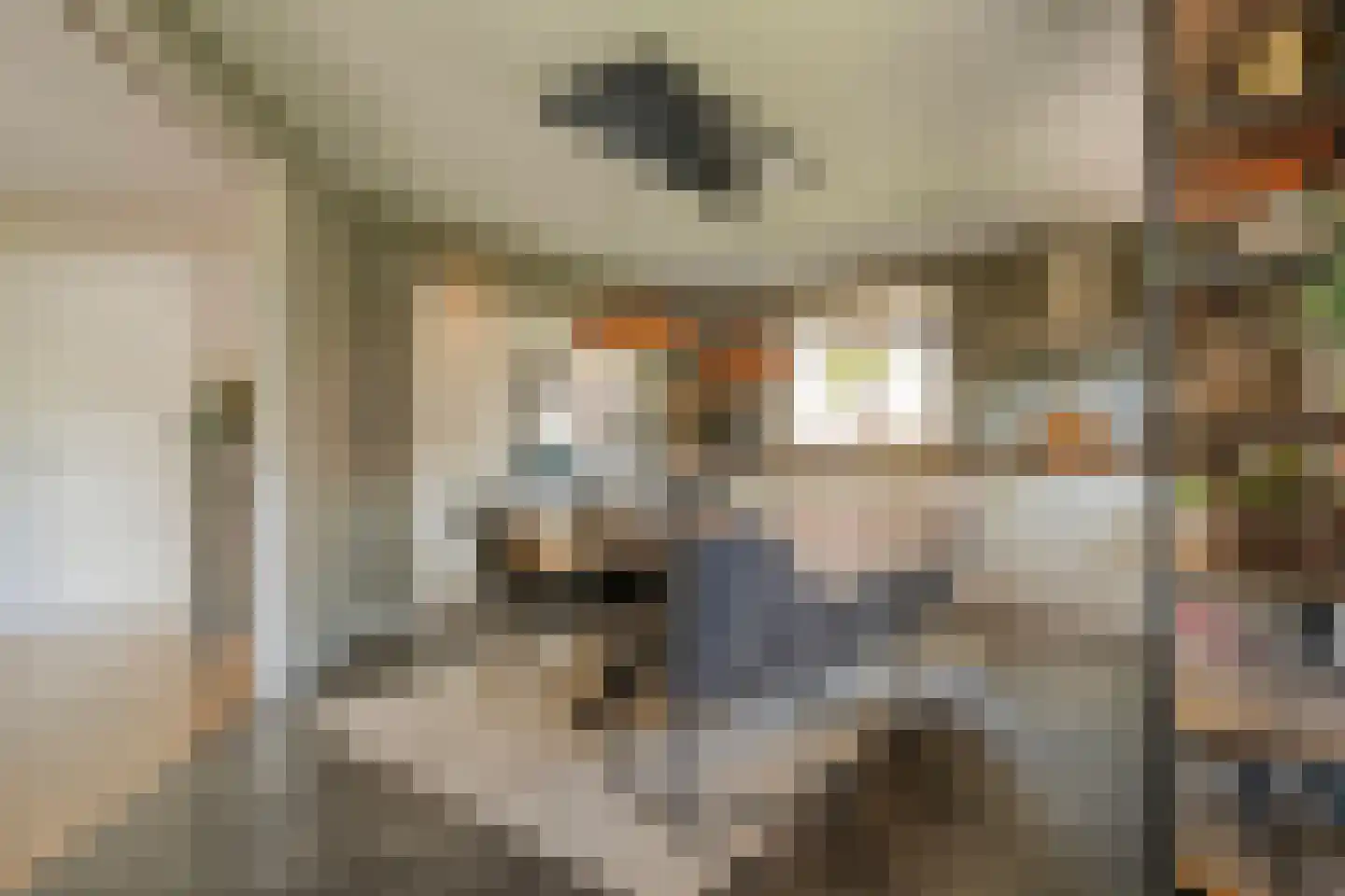Esakkers 20 Dalfsen thumbnail 20