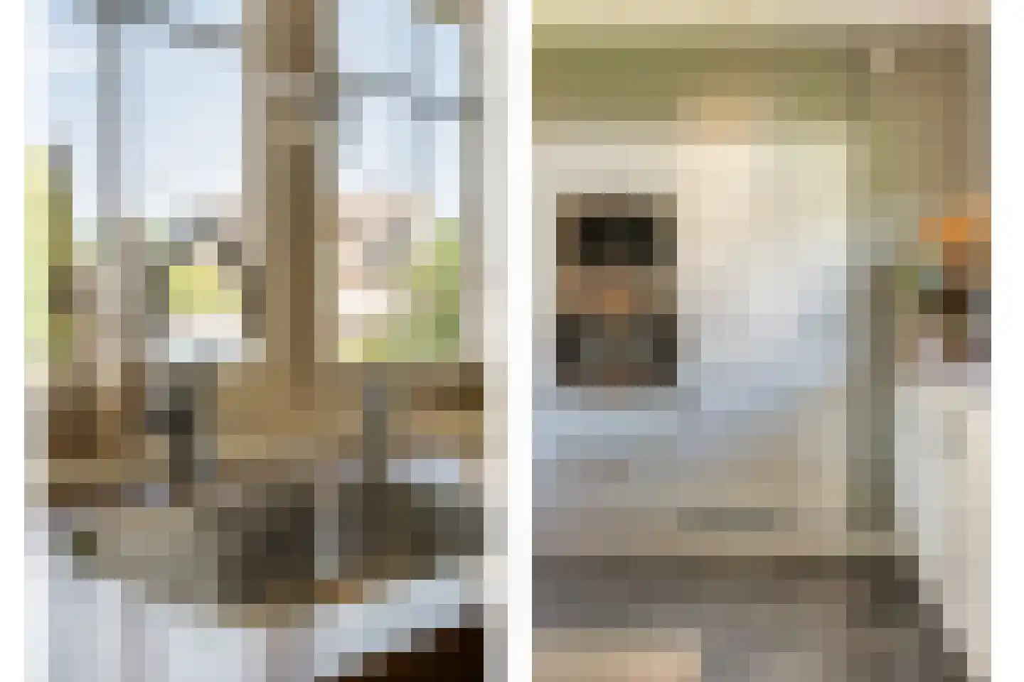 Esakkers 20 Dalfsen thumbnail 24