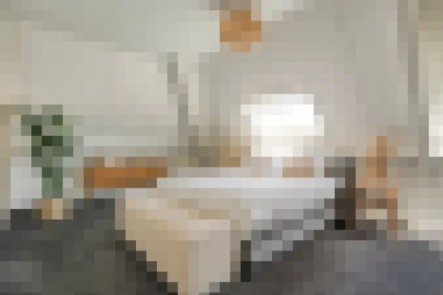 Esakkers 20 Dalfsen thumbnail 30