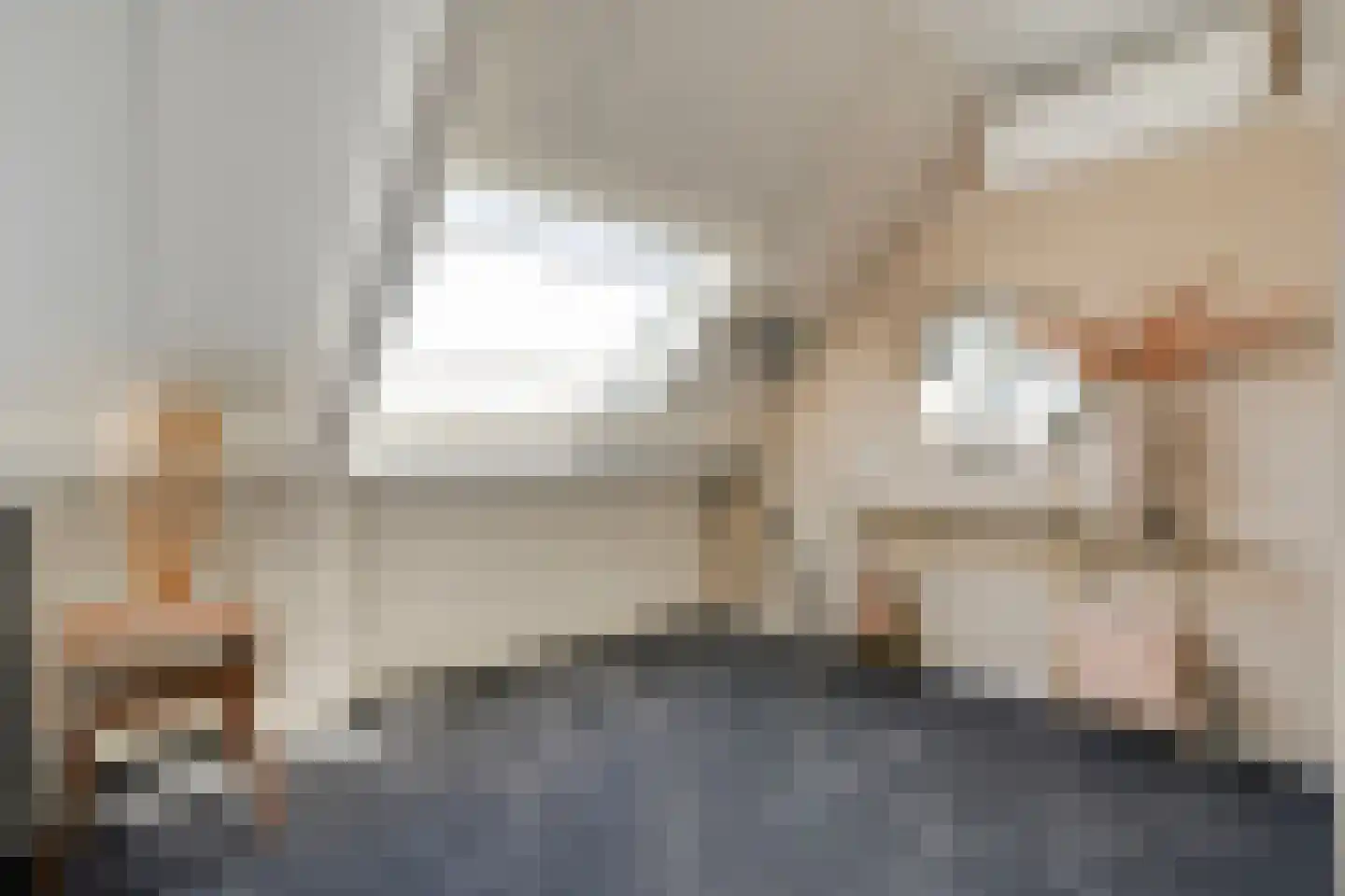 Esakkers 20 Dalfsen thumbnail 31