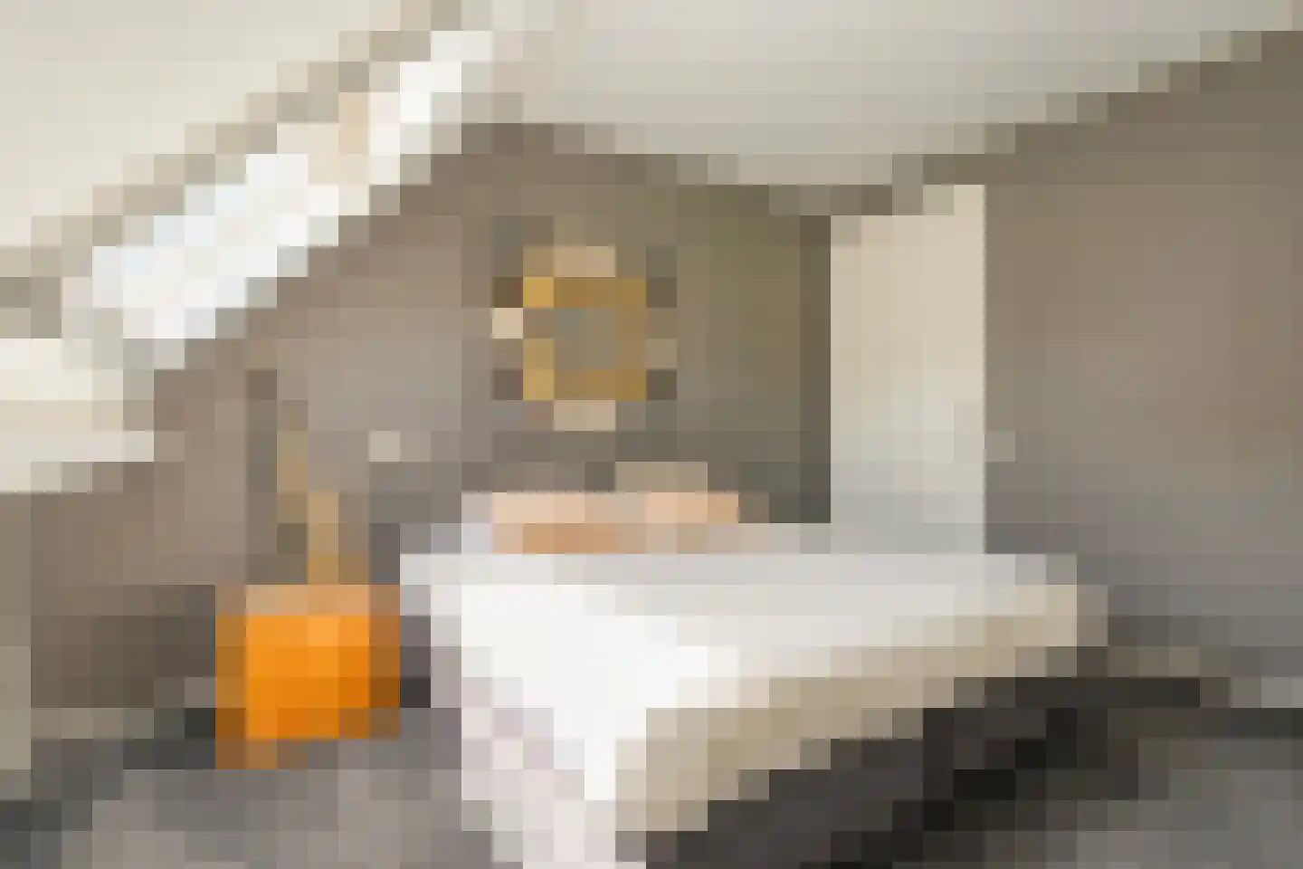 Esakkers 20 Dalfsen thumbnail 34