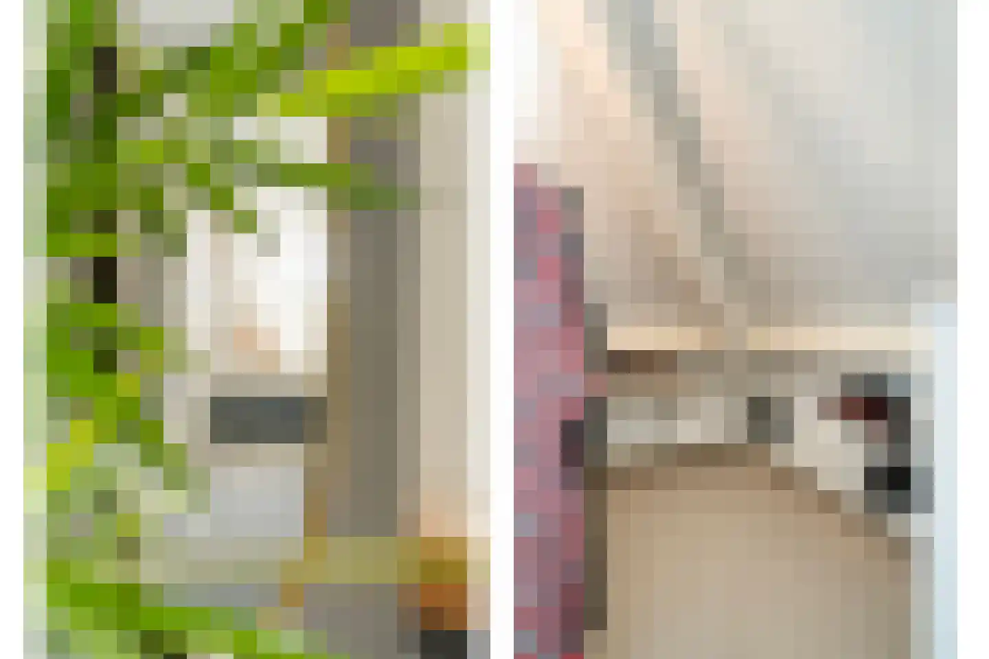 Esakkers 20 Dalfsen thumbnail 40