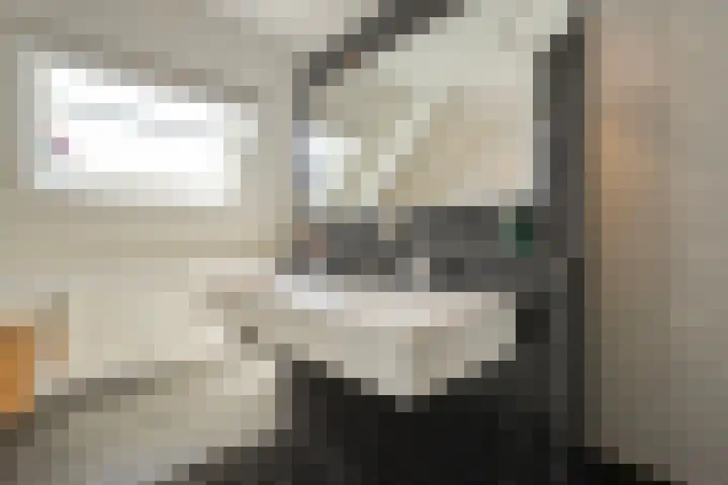 Esakkers 20 Dalfsen thumbnail 41