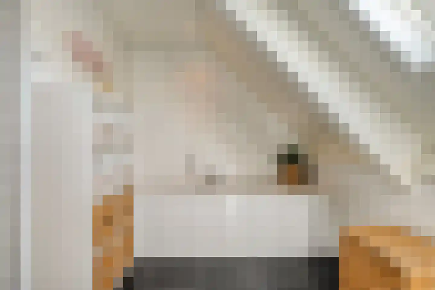 Esakkers 20 Dalfsen thumbnail 42