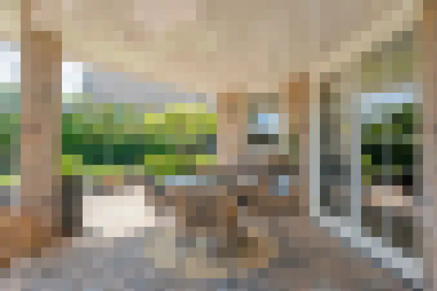 Esakkers 20 Dalfsen thumbnail 44