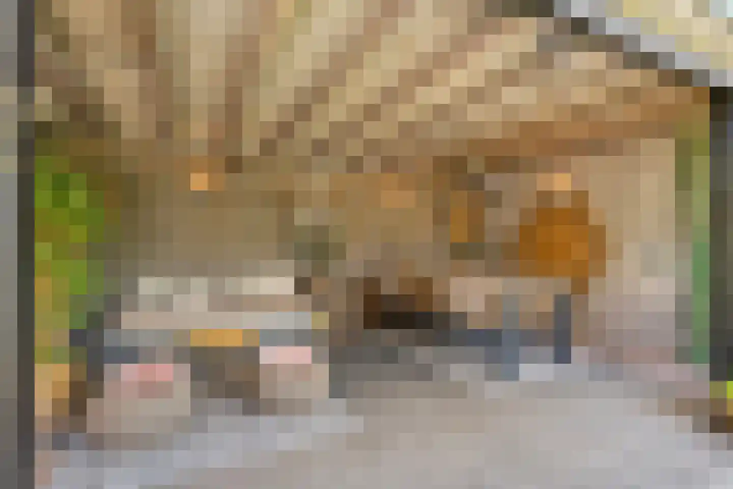 Esakkers 20 Dalfsen thumbnail 47