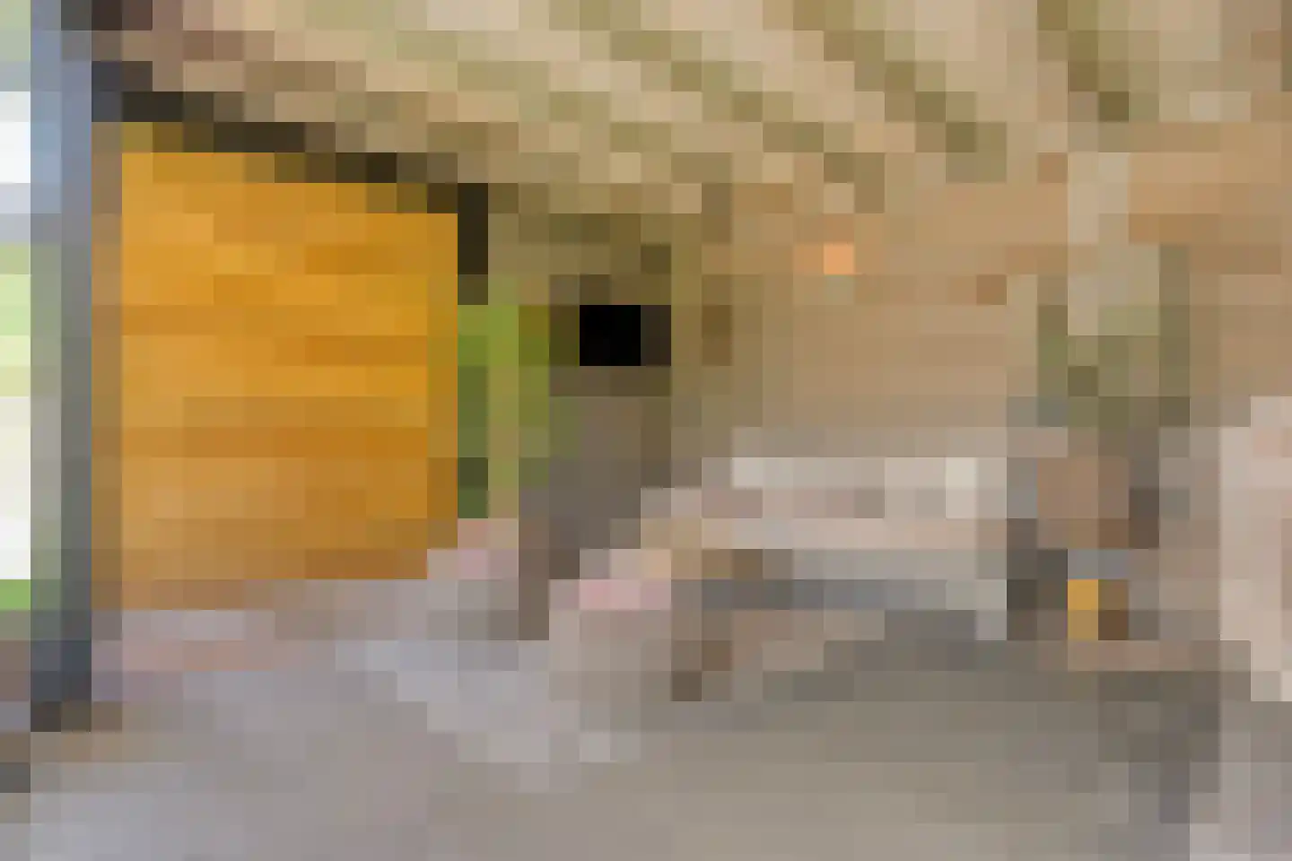 Esakkers 20 Dalfsen thumbnail 49