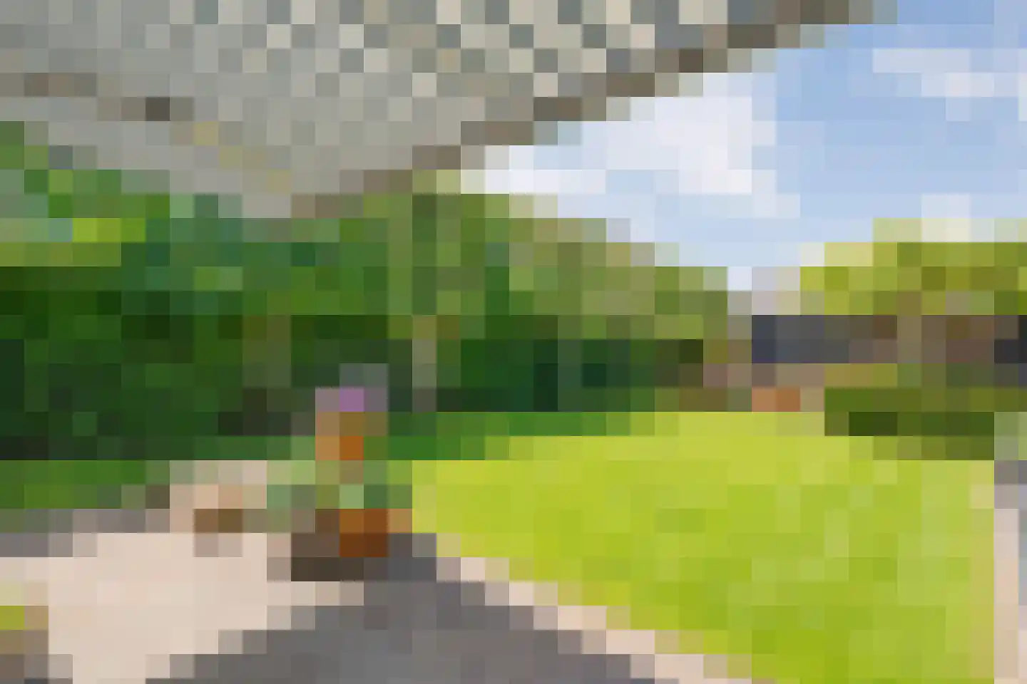 Esakkers 20 Dalfsen thumbnail 50