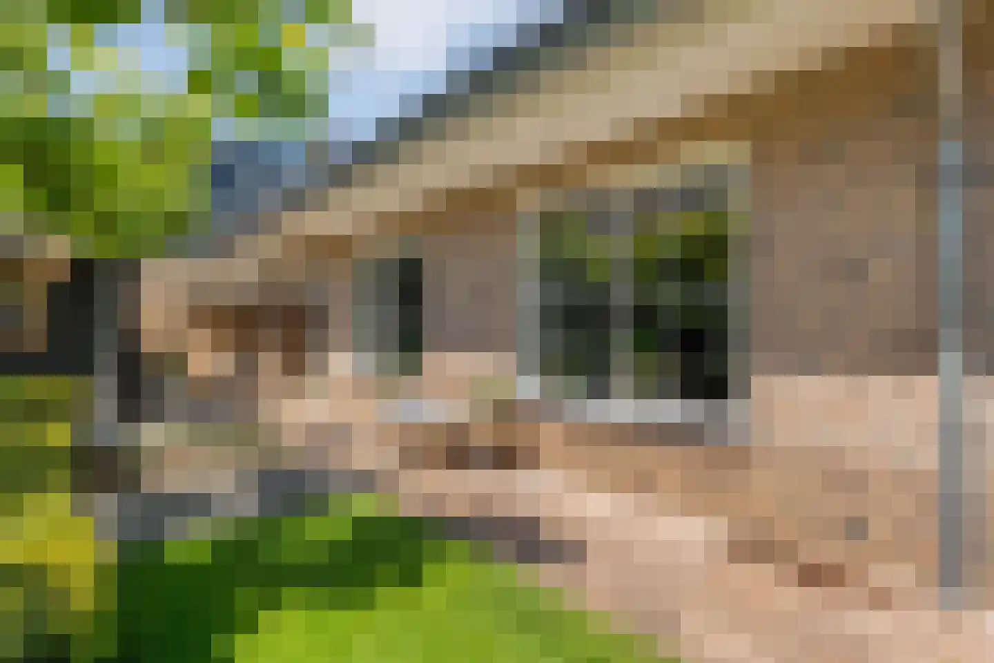 Esakkers 20 Dalfsen thumbnail 53