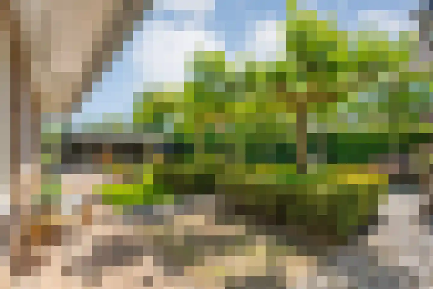 Esakkers 20 Dalfsen thumbnail 54