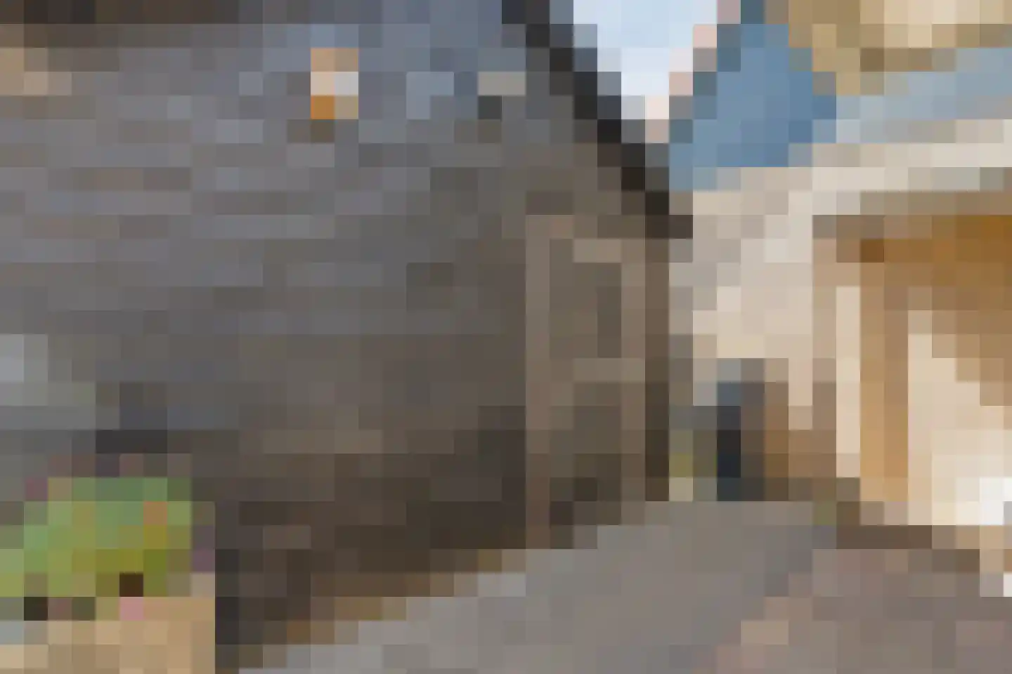 Esakkers 20 Dalfsen thumbnail 55