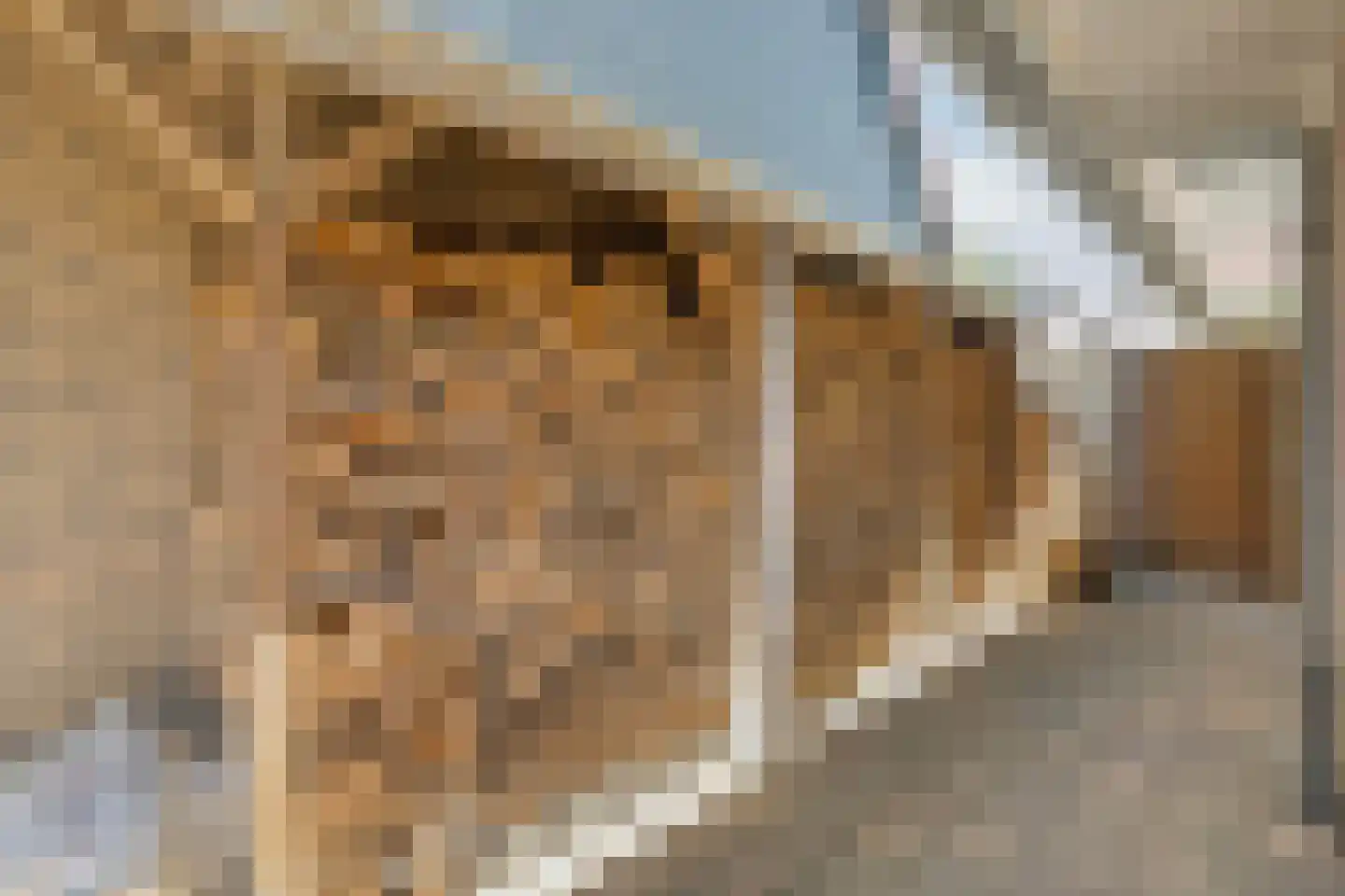 Esakkers 20 Dalfsen thumbnail 56