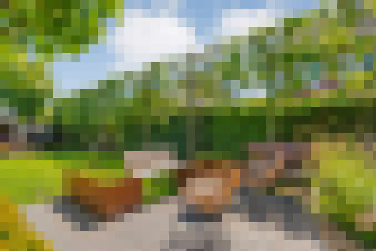 Esakkers 20 Dalfsen thumbnail 57