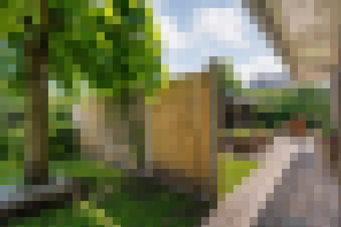 Esakkers 20 Dalfsen thumbnail 61