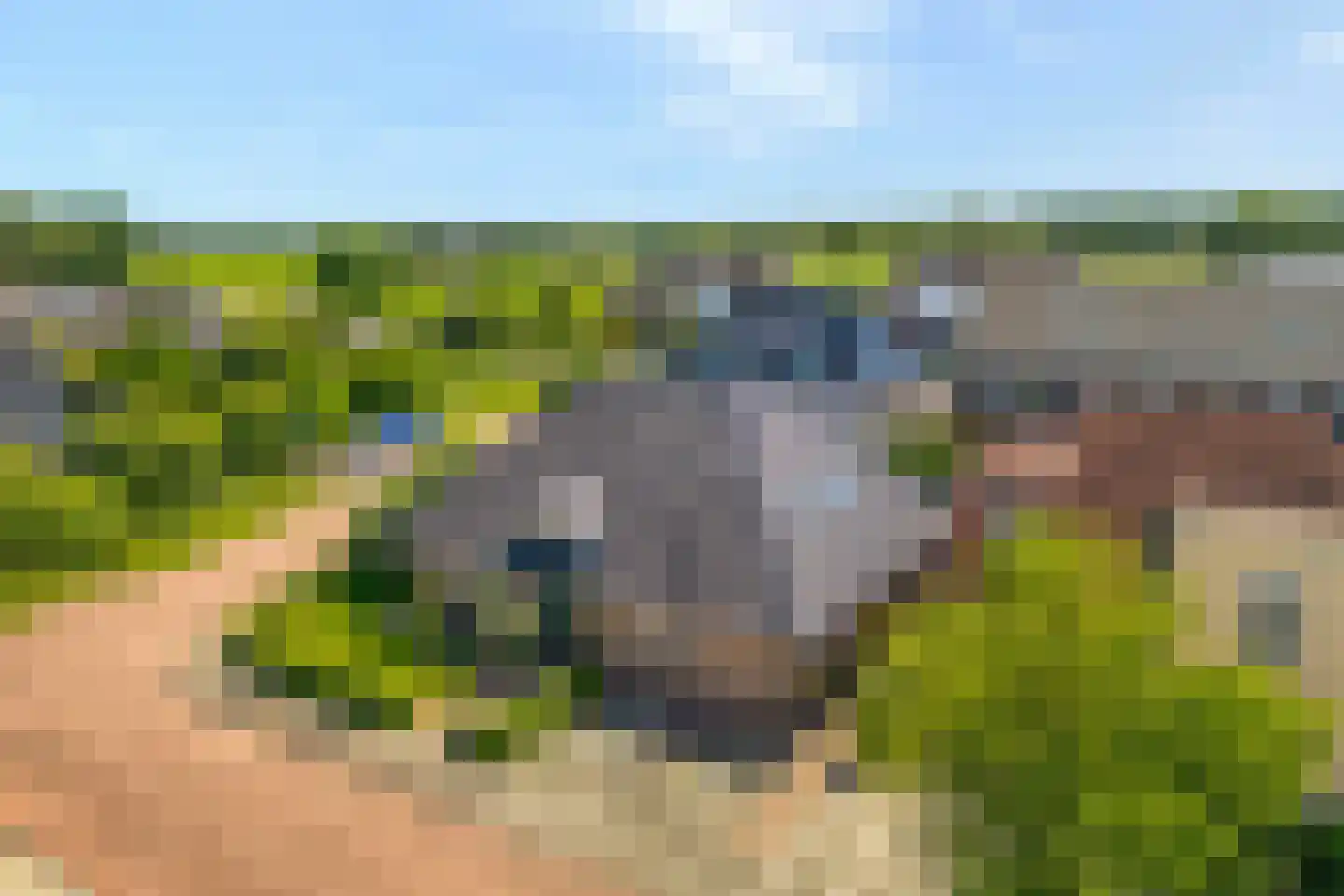 Esakkers 20 Dalfsen thumbnail 67